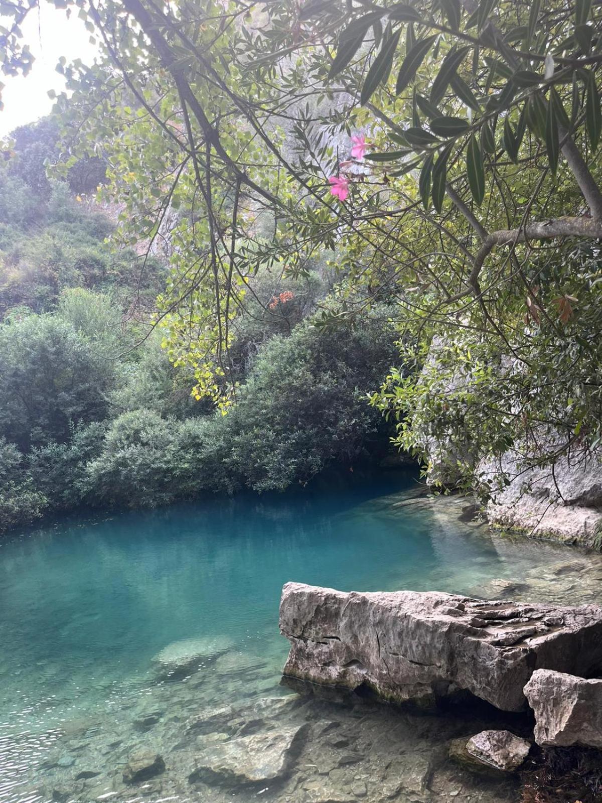 Casa El Cerro Villa Cortes de la Frontera Kültér fotó